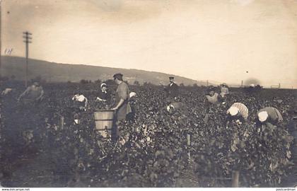 Deutschland - NEUSTADT (Weinstr.) Traubenlese - FOTOKARTE Jahr 1919