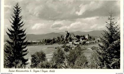 70660136 Regen Regen Ruine Weissenstein *