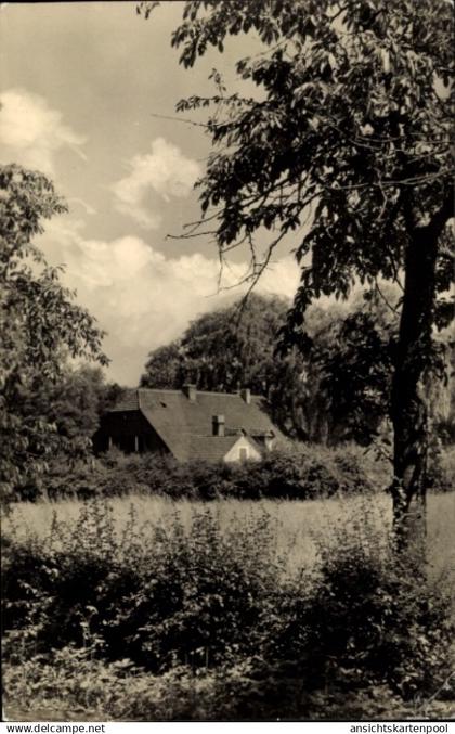 CPA Lauta in der Lausitz Sachsen, Bauernmühle