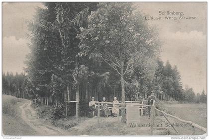 AK Waldpartie Schömberg Lossburg Schillereiche bei Freudenstadt Stuttgart Freiburg Horb