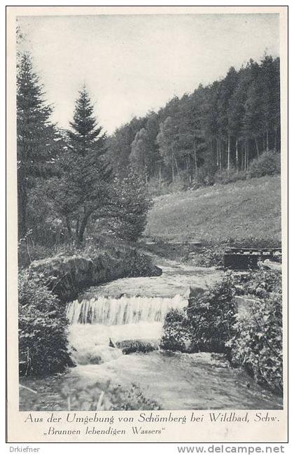 Schömberg, Schwarzw.,  Bach am Waldrand,  Brunnen lebendigen Wassers!, um 1930