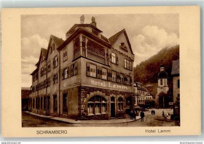 13469405 - Schramberg