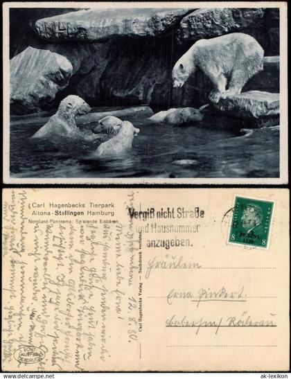 Ansichtskarte Stellingen-Hamburg Tierpark Hagenbeck - Eisbären 1930