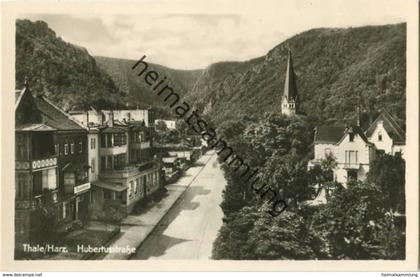 Thale - Hubertusstrasse - Foto-AK 50er Jahre - Verlag Hermann Leiste Thale