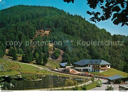 73087331 Todtnau Berg-Wild-Park Steinwasen  Todtnau