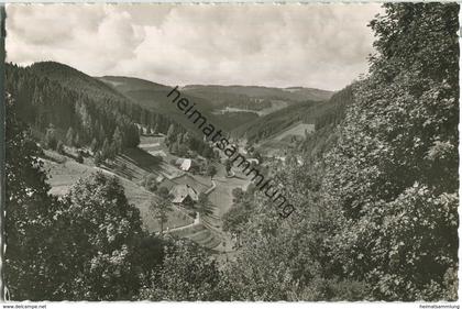 Triberg - Nußbach - Foto-Ansichtskarte