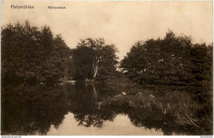 Halsmühlen - Mühlenteich - Verden