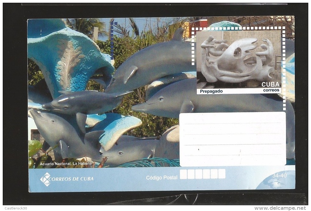 E)2014 CUBA NATIONAL AQUARIUM, DOLPHIN, SCULTURE, MAXICARD