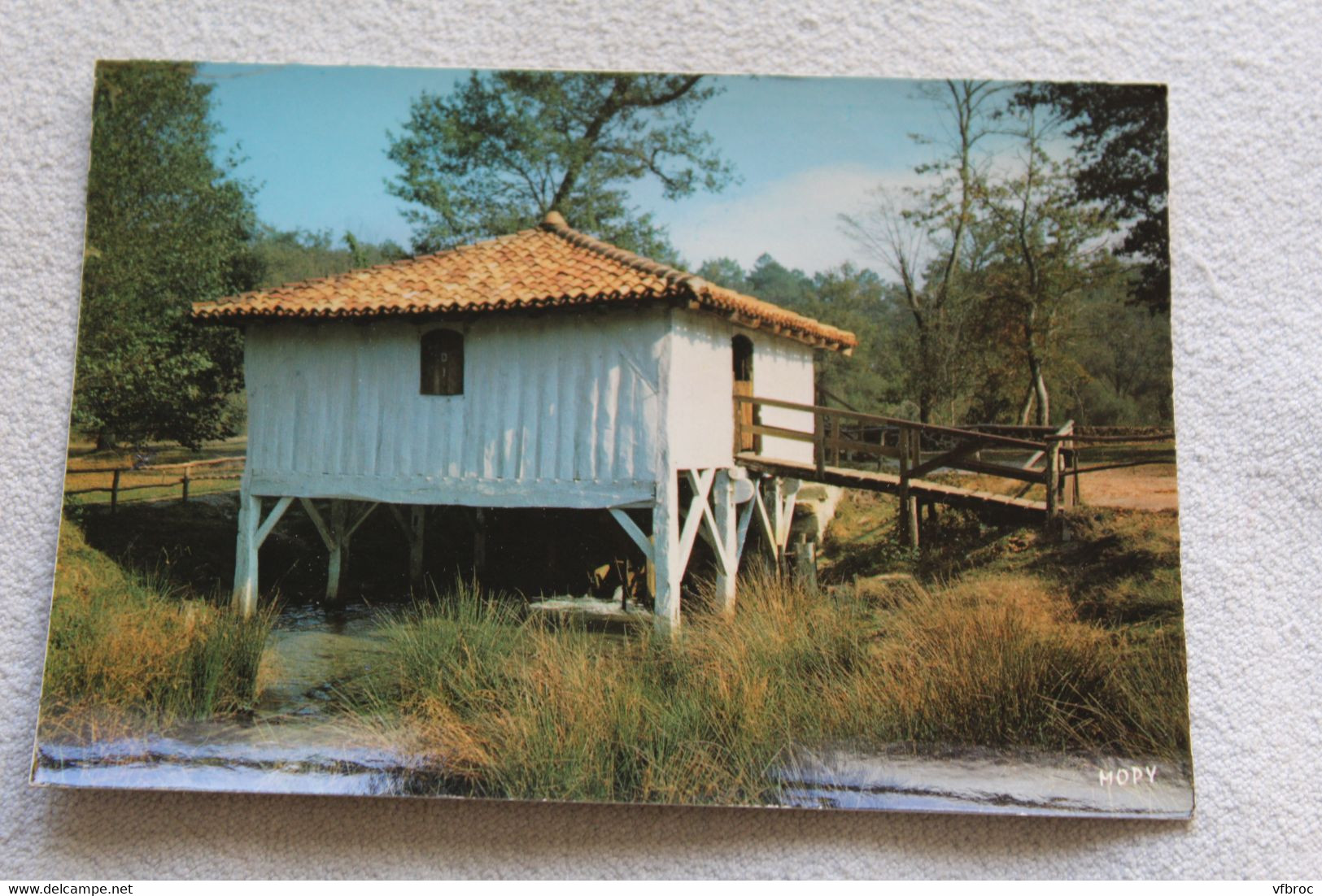 E191, Cpm, parc naturel régional des Landes de Gascogne, Landes 40