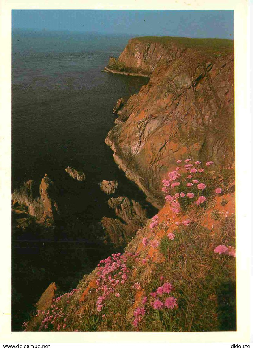 Ecosse - Wigtownshire - Galloway - Scotland - Escocia - CPM - Voir Scans Recto-Verso