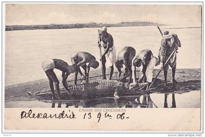 Chasse de crocodiles