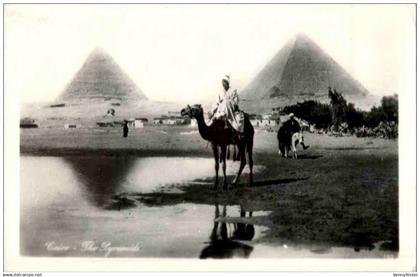 Cairo - The Pyramides