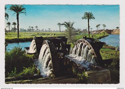 Egypt Ägypten Fayoum Fayyum Noria Watherwheel View Vintage Photo Postcard RPPc CPA (59960)