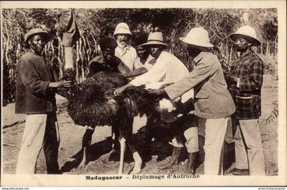 CPA Madagaskar, Deplumage d'Autriche, Vogelstrauß