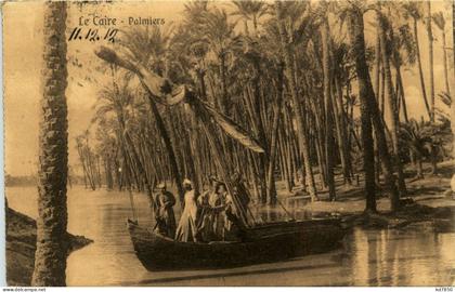 Le Caire - Palmiers