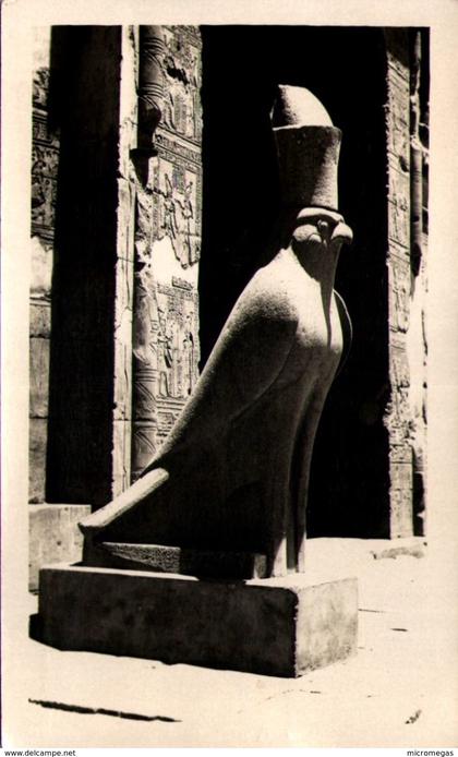 EDFU - The Sacred Hawk