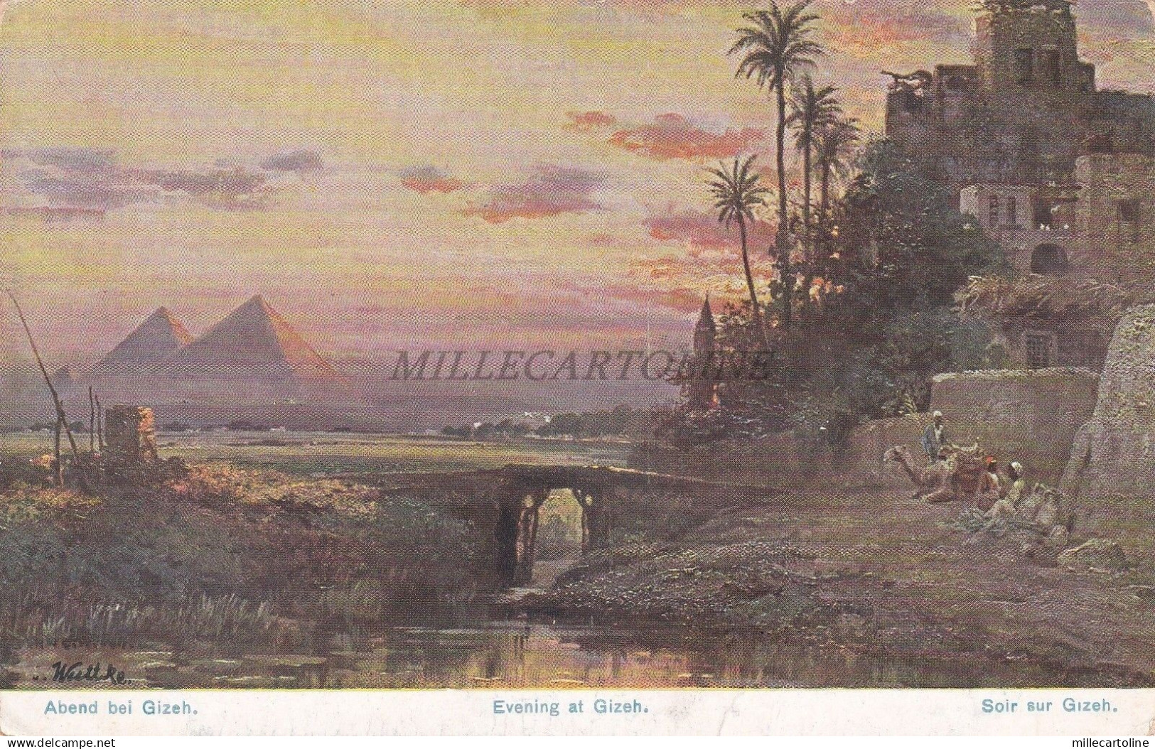 EGYPT - Cairo - Caire - Evening at Gizeh