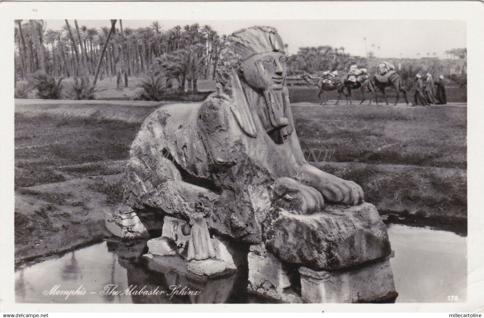 EGYPT - Memphis - The Alabaster Sphinx - Photo Postcard 2