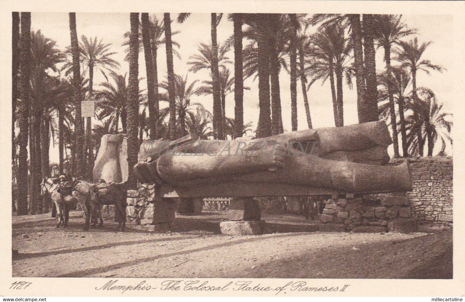 EGYPT - Memphis - The Colossal Statue of Ramses II