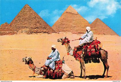 EGYPTE GIZEH LES PYRAMIDES DE GIZEH