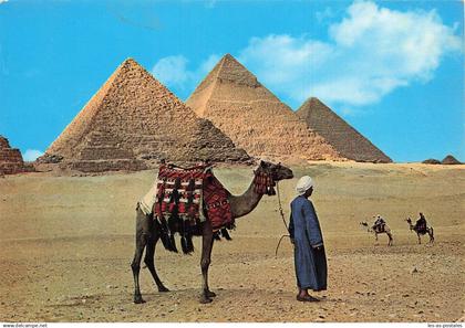 EGYPTE GIZEH LES PYRAMIDES DE GIZEH