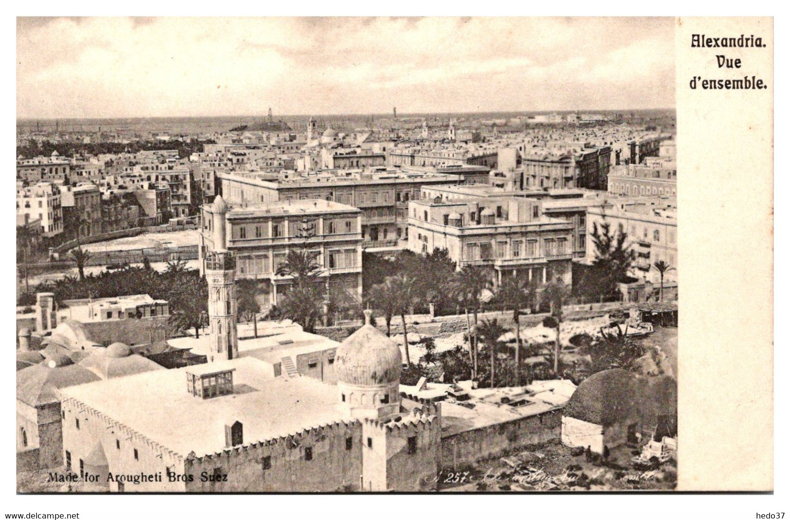 Egypte - Alexandrie - Vue d'ensemble