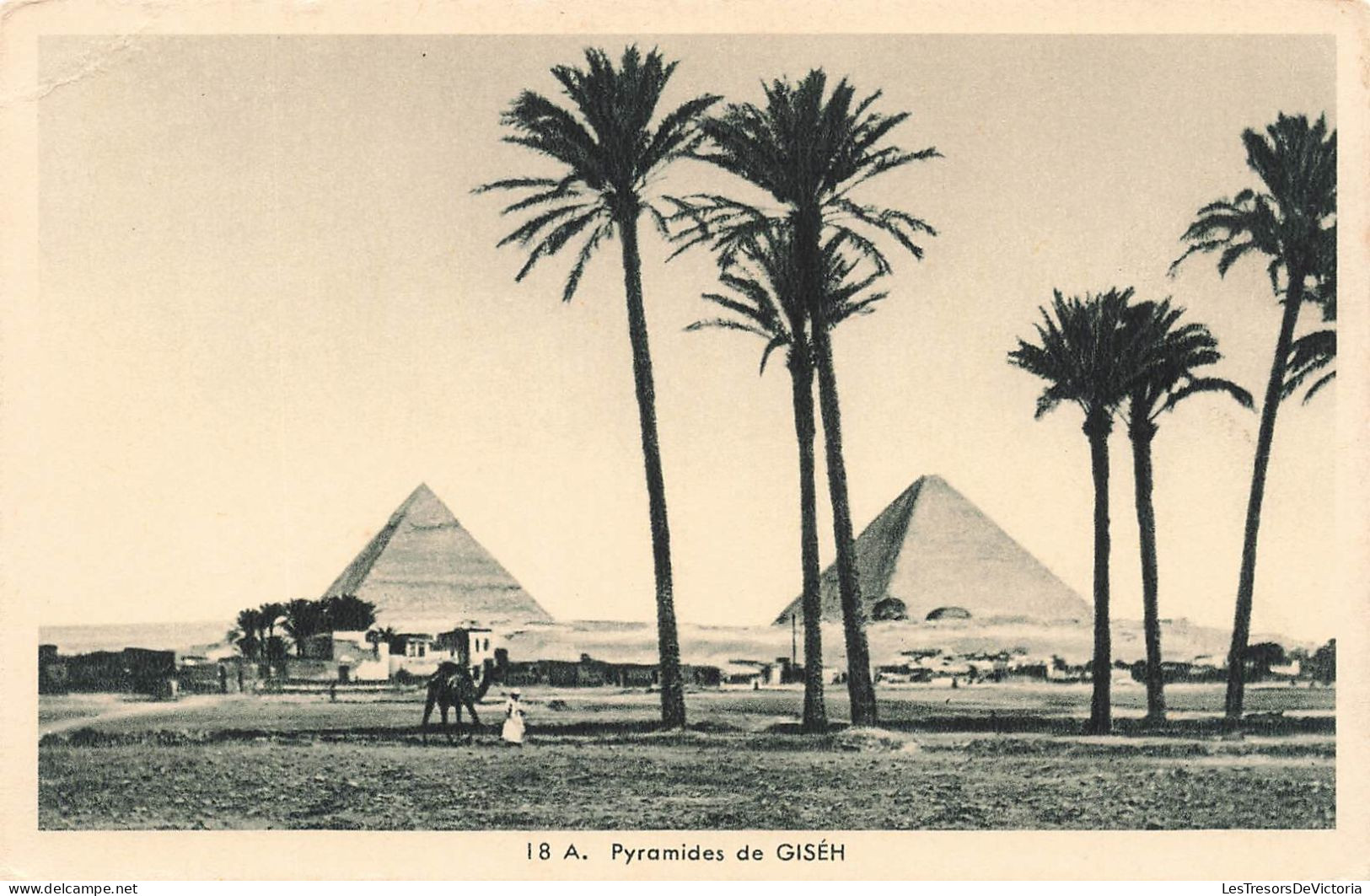 EGYPTE - Gizeh - Pyramides de Gizeh - Carte Postale Ancienne