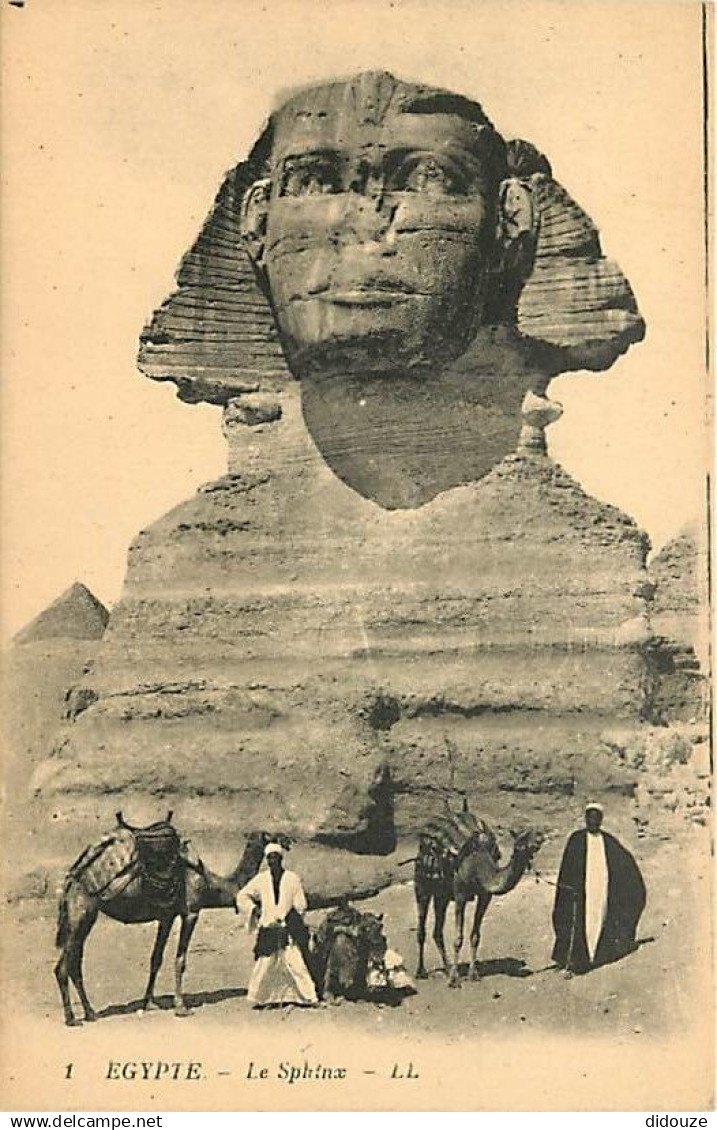 Egypte - Le Sphinx - Animée - Chameaux - CPA - Voir Scans Recto-Verso