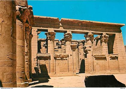 Egypte - Assouan - Aswan - Assuan - Kalabsha Temple - Temple Kalabsha - Carte Neuve - CPM - Voir Scans Recto-Verso