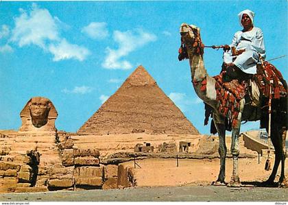 Egypte - Gizeh - Giza - The Great Sphinx and Khephren Pyramid - Le Grand Sphinx et Pyramide de Chéphren - Chamelier - Ch