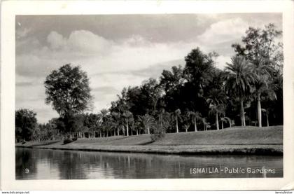 Ismailia - Public Gardens