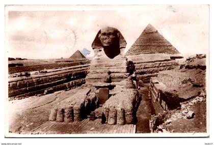 Egypte - Le Caire - Sphinx