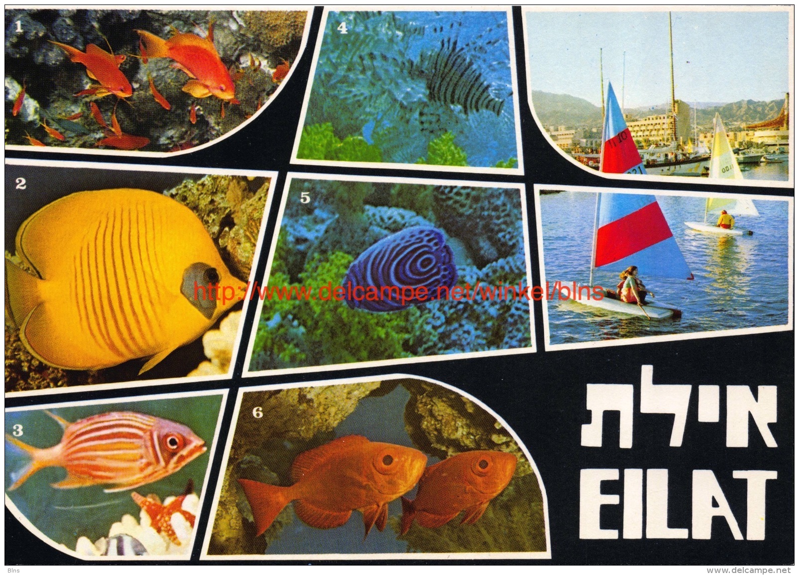 Eilat - Israel