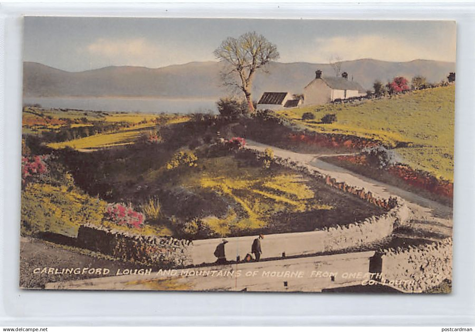 Eire - Carlingford Lough and Mountains of Mourne from Omeath, Co. Louth