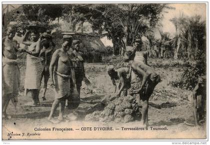 Carte Postale Ancienne de COTE D´IVOIRE - TERRASSIERES A TOUMODI