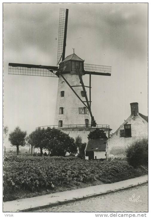 Ellezelles :  Le vieux moulin  -  windmolen  (  grand format )