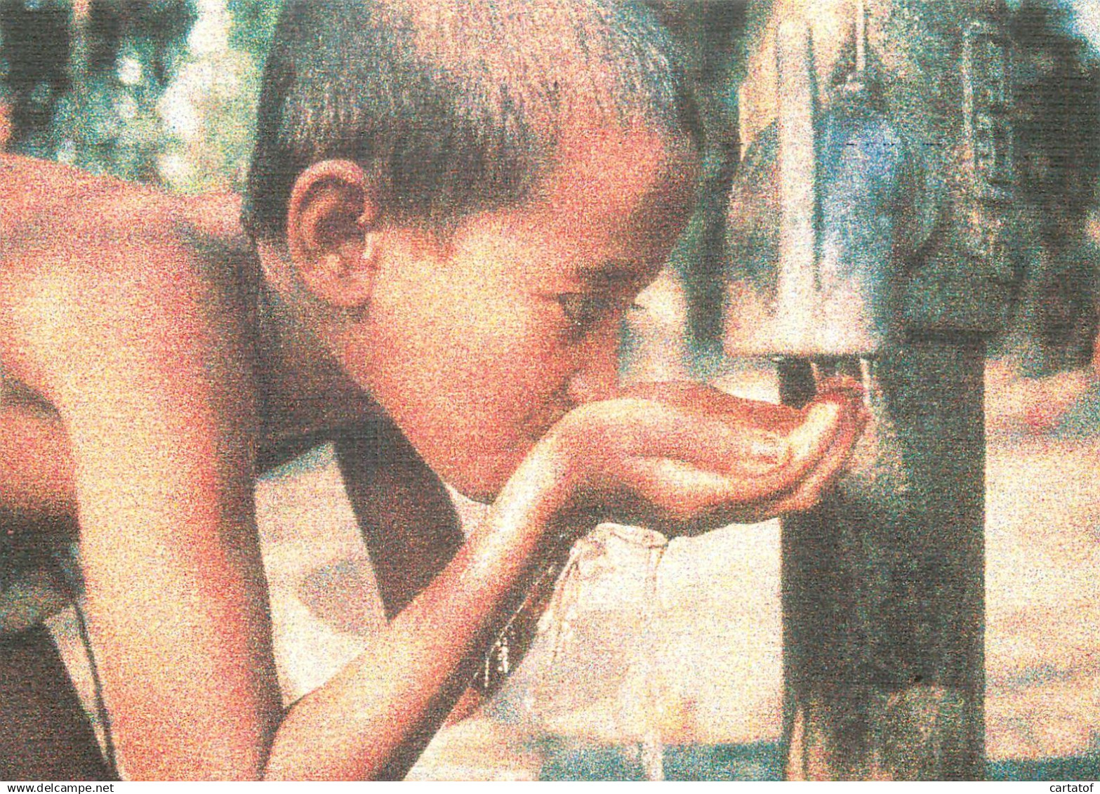 Entier Postal 50° anniversaire de la Fondation F.A.O . CITA DEL VATICANO . BANGLADESH