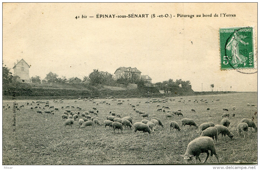 EPINAY SOUS SENART(ESSONNE) MOUTON