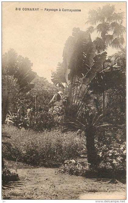 CONAKRY - Paysage à Camayenne