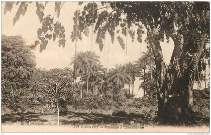 CONAKRY - Paysage à Camayenne