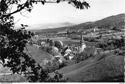 ¤¤  -  SLOVENIE   -  MISLINJA    -   ¤¤