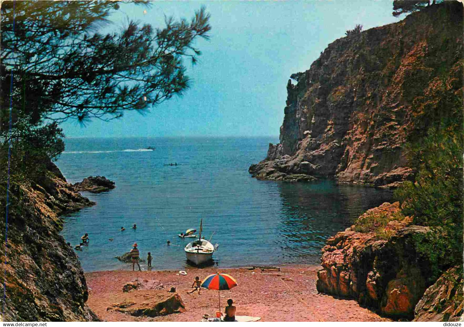 Espagne - Espana - Cataluna - Costa Brava - Palamos - Cala d'els Corps - Crique des Corps - CPM - Voir Scans Recto-Verso