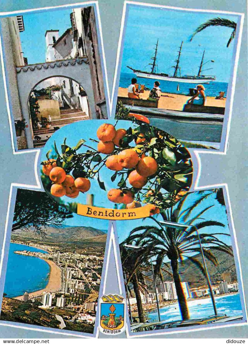 Espagne - Espana - Comunidad Valenciana - Benidorm - Multivues - Oranges - CPM - Voir Scans Recto-Verso