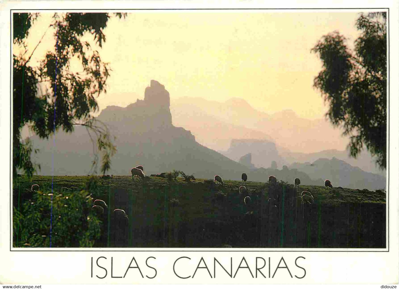 Espagne - Espana - Islas Canarias - Roque Bentayga - CPM - Voir Scans Recto-Verso