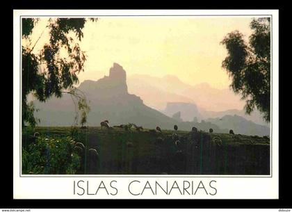 Espagne - Espana - Islas Canarias - Roque Bentayga - CPM - Voir Scans Recto-Verso