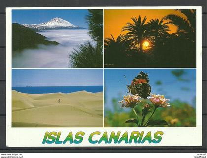 Espana Spain Ansichtskarte Islas Canarias