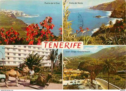 Espagne - Espana - Islas Canarias - Tenerife - Multivues - Chameaux - CPM - Voir Scans Recto-Verso