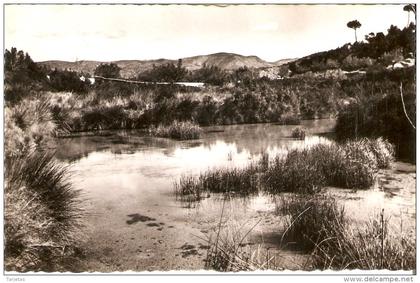 POSTAL DE NAVAJAS DEL MANANTIAL DE LA ESPERANZA ( JDP VALENCIA) CASTELLON