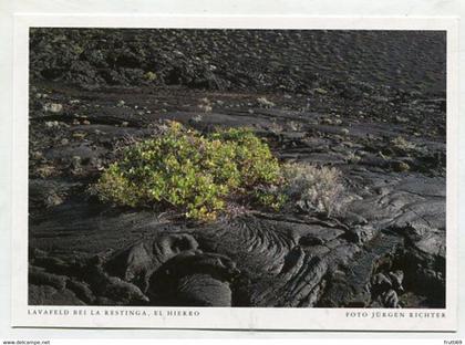 AK 067071 SPAIN - El Hierro - Lavafeld bei La Restinga