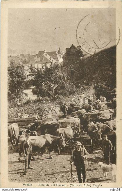 Espagne - Spain - Espana - Cataluna - Lérida - Viella - Recojida del Ganado ( Valle de Aran ) - Animaux - Vaches - état